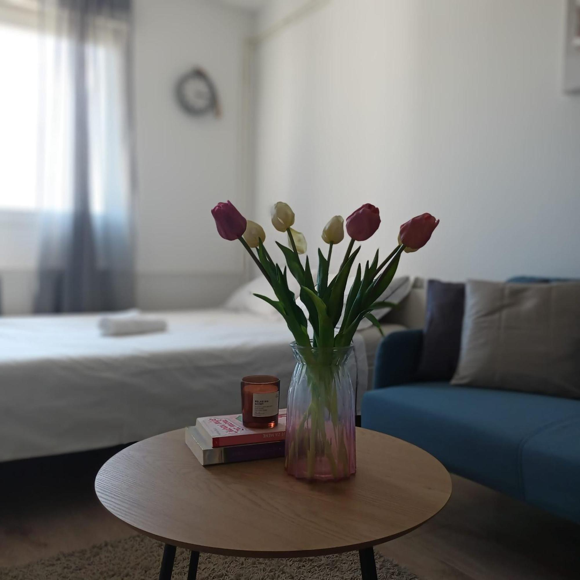 Coconut Grove Apartment Zagreb Exterior foto